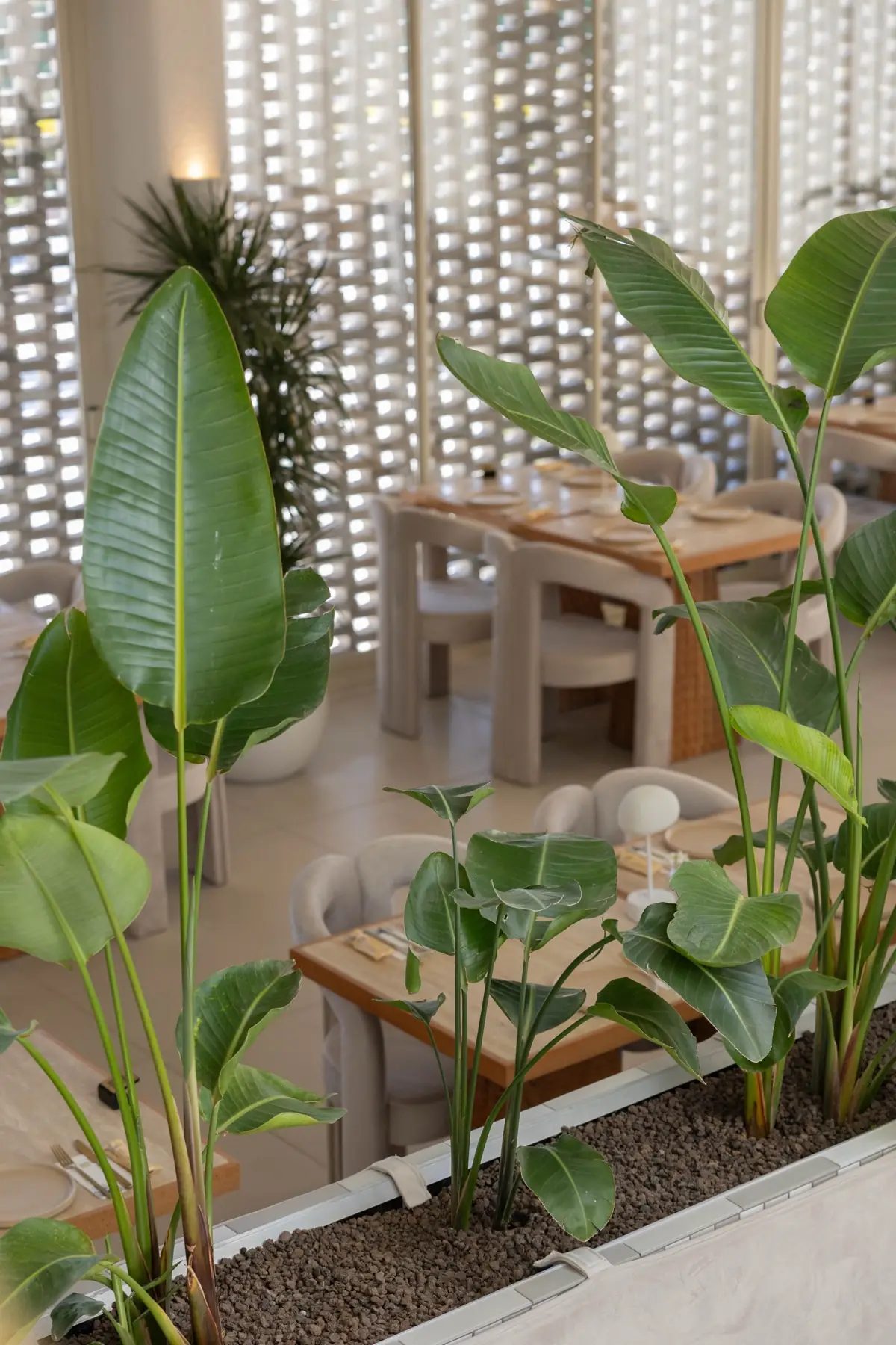 KEN'S Restaurant Mekan